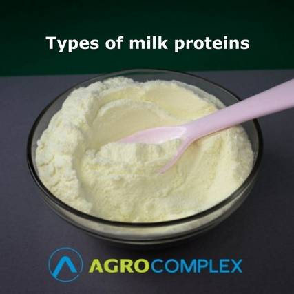 Types of milk proteins | Application of casein and whey protein Types of milk proteins | Application of casein and whey protein