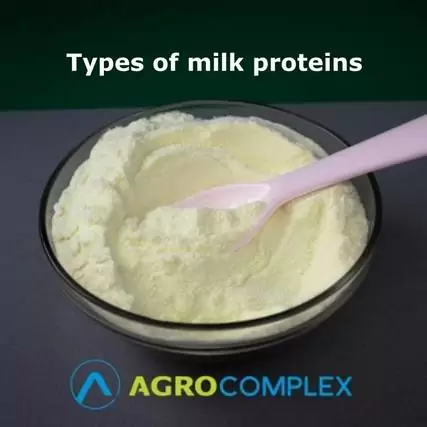 Types of milk proteins