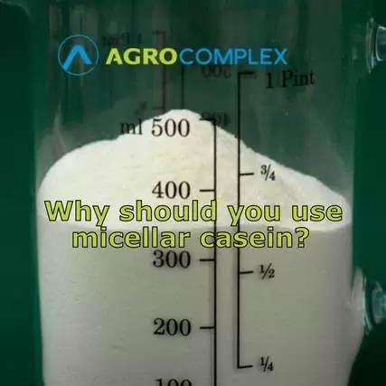 Why should you use micellar casein?